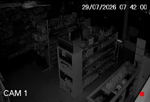 Caméra IP - BR
