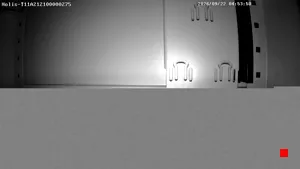 Caméra IP - PL