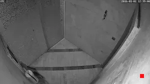 Caméra IP - IR