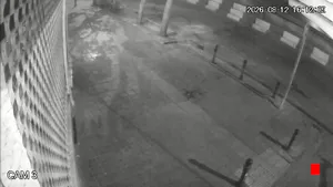Caméra IP - IR