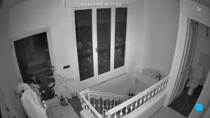 Caméra IP - IT