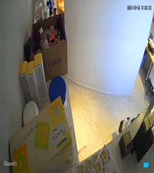 Caméra IP - ZA
