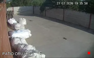 Caméra IP - ES