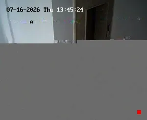 Caméra IP - TN