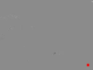 Caméra IP - US