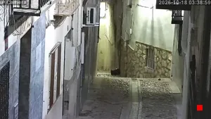 Caméra IP - ES