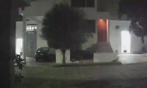 Caméra IP - MX