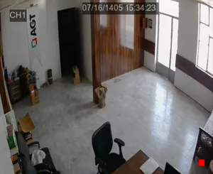 Caméra IP - IR