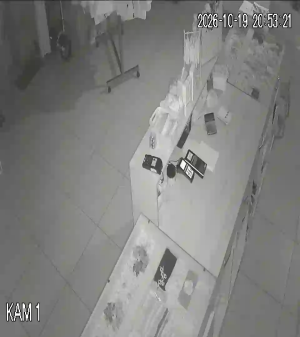 Caméra IP - PL