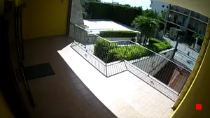 Caméra IP - IT