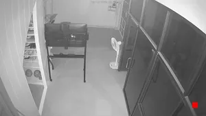Caméra IP - TH