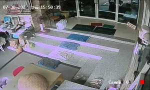 Caméra IP - TH
