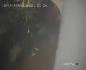 Caméra IP - IT
