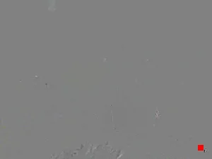 Caméra IP - US