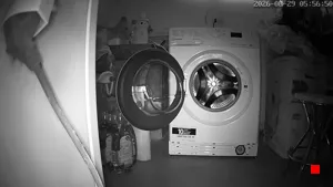 Caméra IP - IN