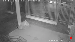 Caméra IP - PY