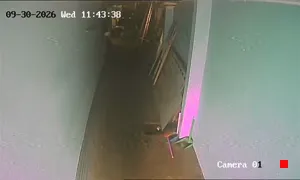 Caméra IP - TH
