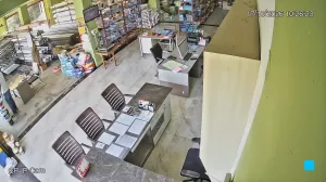 Caméra IP - IN
