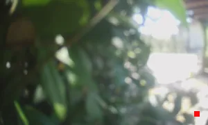 Caméra IP - IT