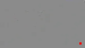 Caméra IP - ES