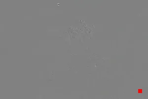 Caméra IP - IT