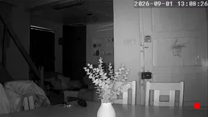Caméra IP - CL