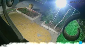 Caméra IP - DZ