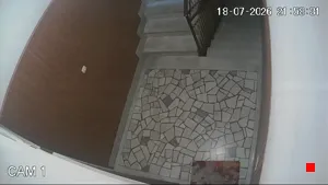 Caméra IP - IT
