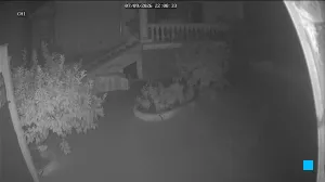 Caméra IP - IT