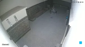 Caméra IP - DZ