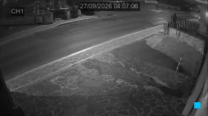 Caméra IP - IT