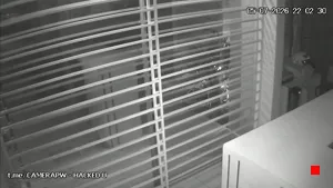 Caméra IP - BR