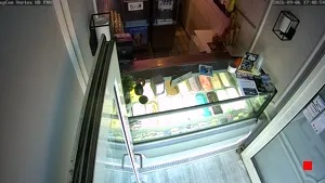 Caméra IP - DE
