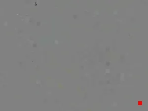 Caméra IP - IT