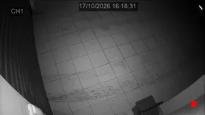 Caméra IP - IT