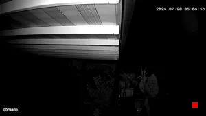 Caméra IP - IT