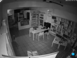 Caméra IP - IT