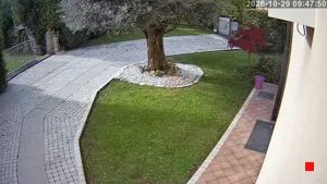 Caméra IP - IT