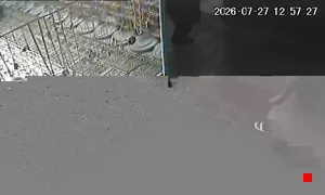 Caméra IP - IR