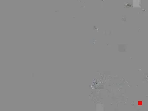 Caméra IP - IT