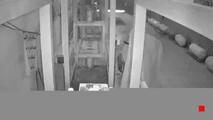 Caméra IP - IR