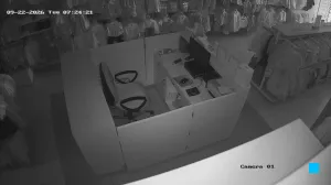 Caméra IP - IN