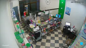 Caméra IP - DZ