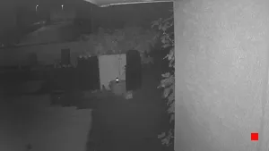 Caméra IP - DE