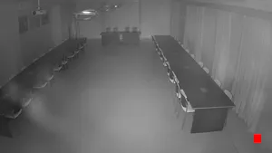 Caméra IP - PL