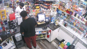 Caméra IP - US
