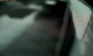Caméra IP - NL