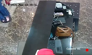 Caméra IP - PS
