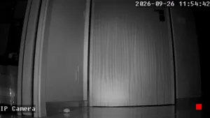Caméra IP - IT