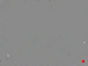 Caméra IP - MD